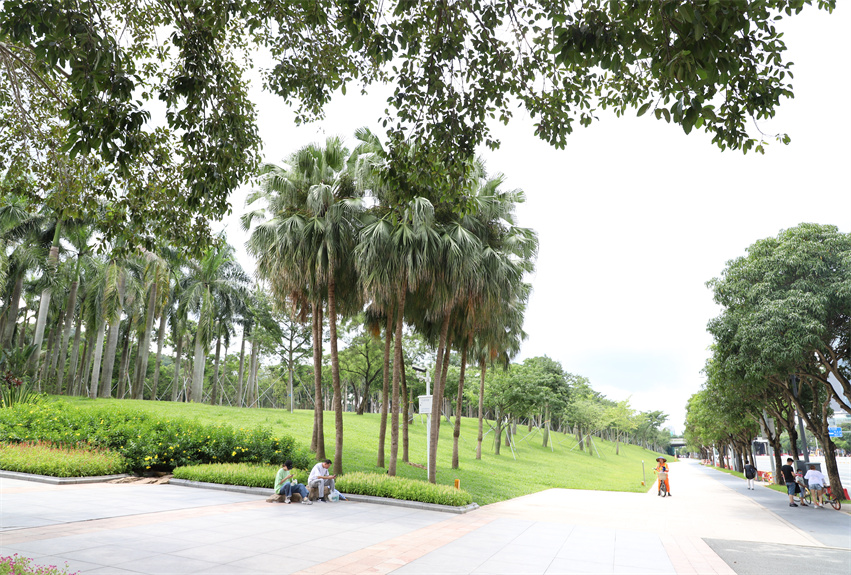 莲花山公园“春天之路”