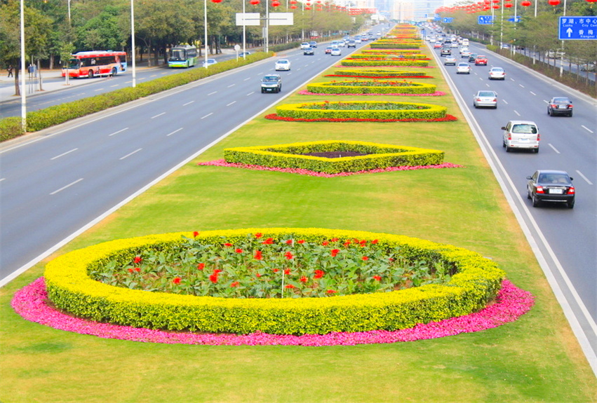 深圳市深南大道中央绿化带提升工程