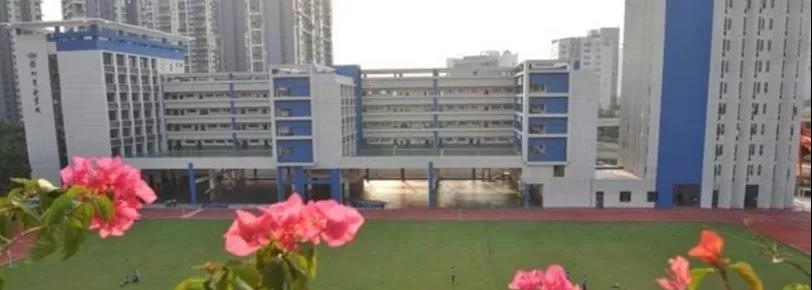 幼有所育，学有所教——记录中深装助力建设的美丽校园