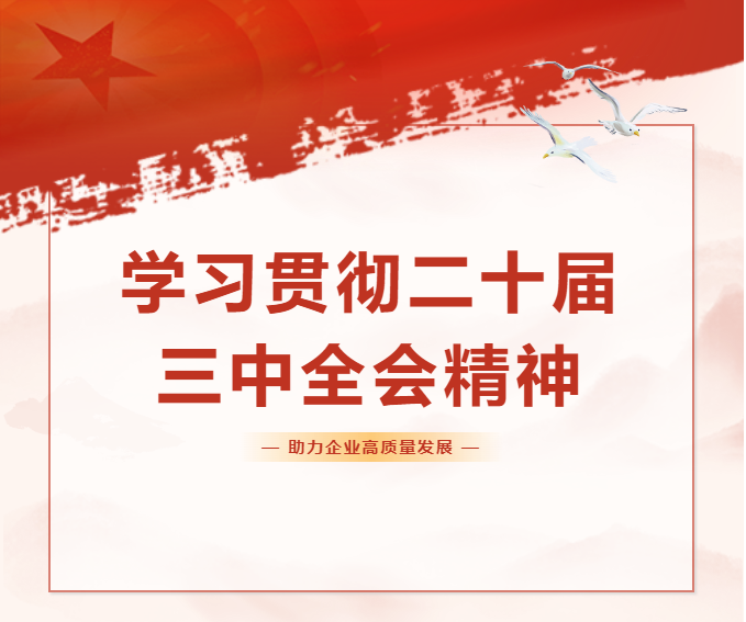 党建引领 | 中深装集团组织学习贯彻二十届三中全会精神