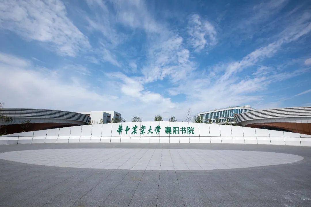 中标喜讯 | 华诞献礼 喜讯频传